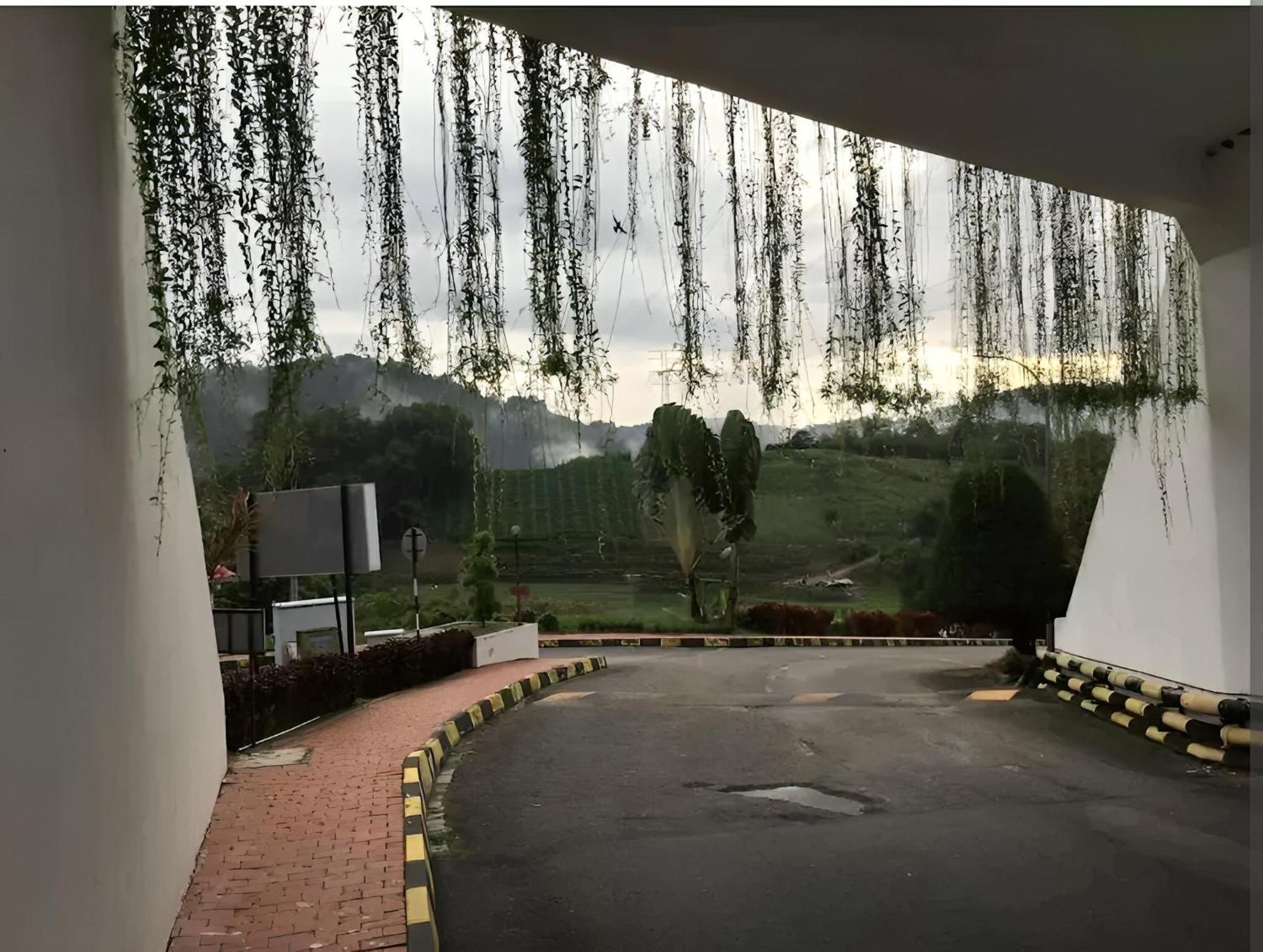 Bukit Tinggi Fuchsia Hillhomes 外观 照片